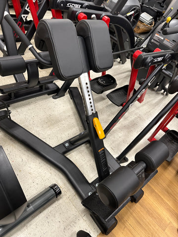 Precor Discovery Series Back Extension